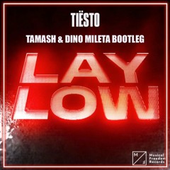 Tiësto - Lay Low (Tamash & Dino Mileta Bootleg)