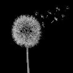 do you hear flowers scream when they lose their petals