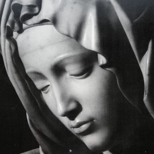 Day 1 Novena Our Lady Asks In Order To Understand God