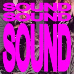 ssSound
