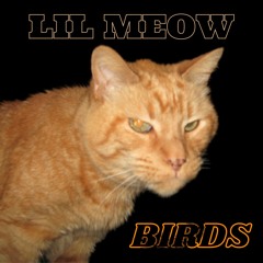 Lil Meow - Birds