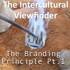 The Branding Principle Pt.1