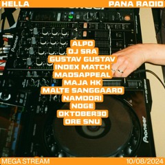 Alpo @ Hella | 10/08/2024 | Aarhus