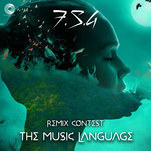 Name In Process - The Music Languages (F.S.G Remix) Out Now!!