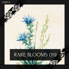 Cereus - Rare Blooms 019