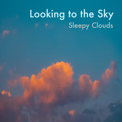 Looking to the Sky