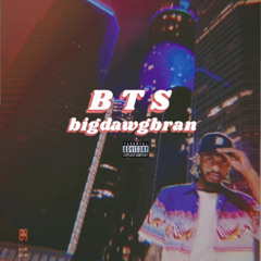BigDawgBran - BTS