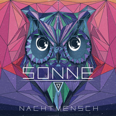 Sonne (Nico Pusch Remix)
