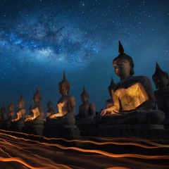 Shokran @ EOS Festival - Solstice Forest 23.06.23