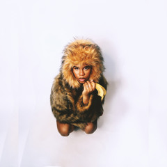 Monkey See Monkey Do