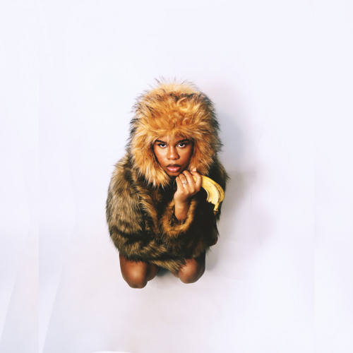 Monkey See Monkey Do