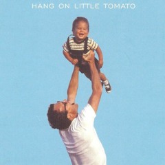 Hang On, Little Tomato | Guitar Cover