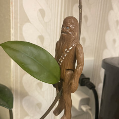 Innocence the rock song