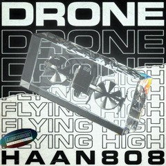 Haan808 - Flying High