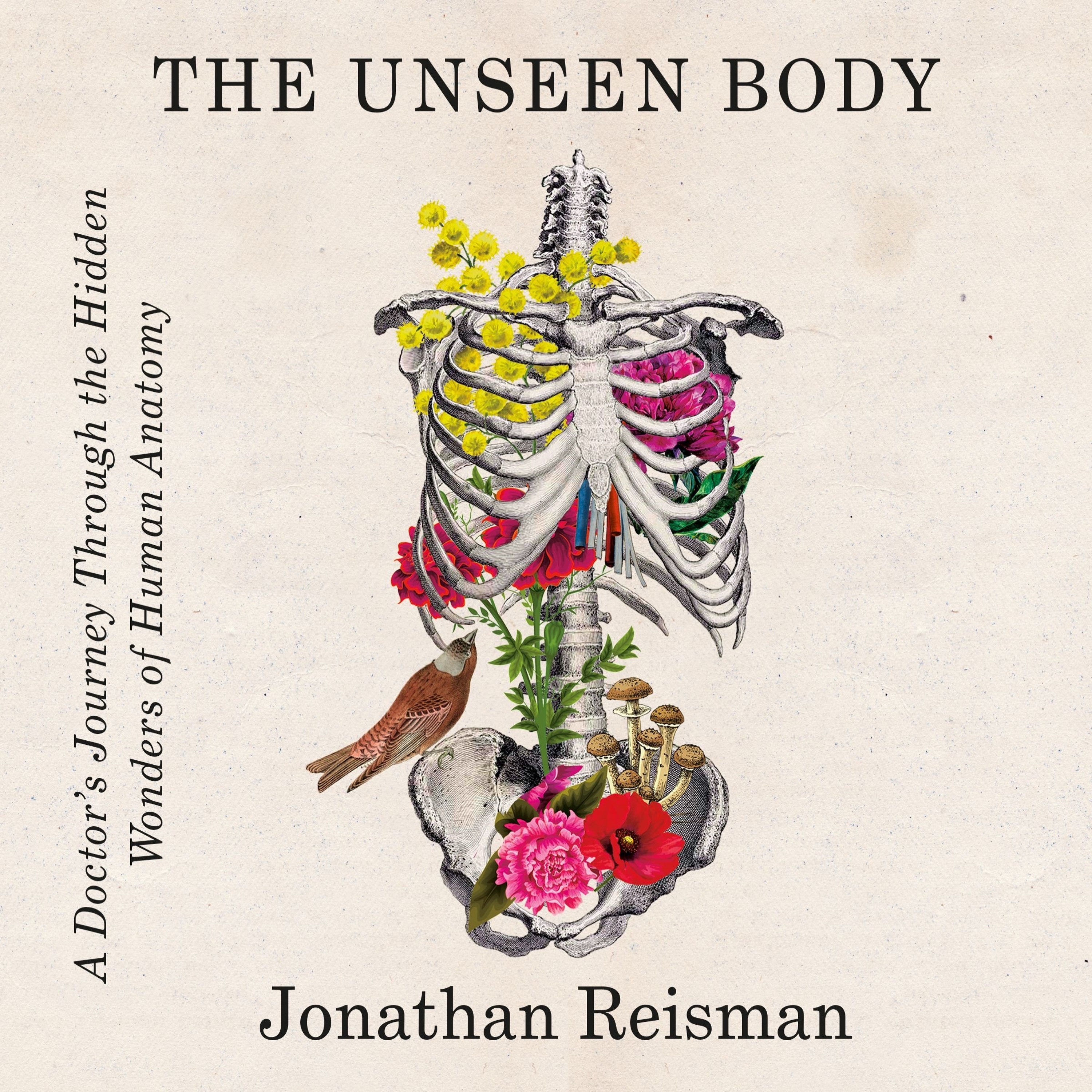 cover of episode THE UNSEEN BODY by Jonathan Reisman, read by Robert Petkoff - audiobook extract