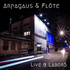 Live @ Labor5 Zürich | LUV