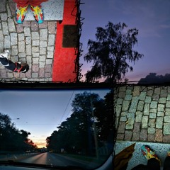 Lofiafi [80]
