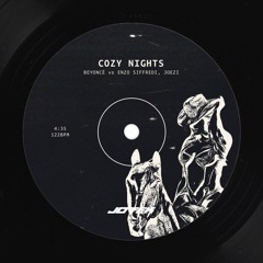 Cozy Nights (JOTEK Edit) - Beyoncé vs Enzo Siffredi, Joezi