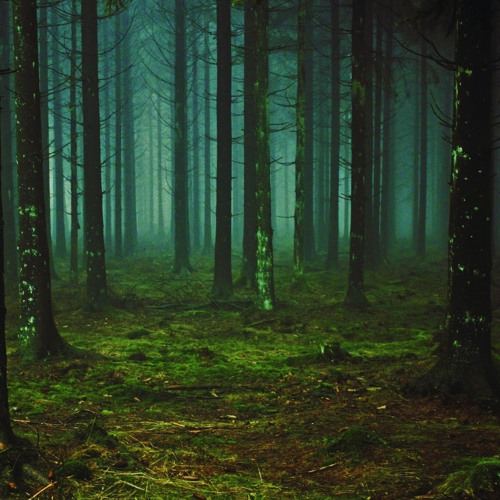 Dub Techno Session | Have a nice day | 081