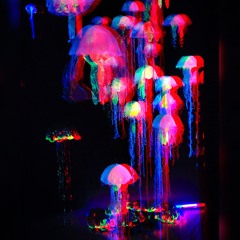 - 07 - 07 Hydroforming