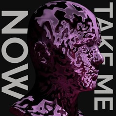 Take Me Now (Original Mix)