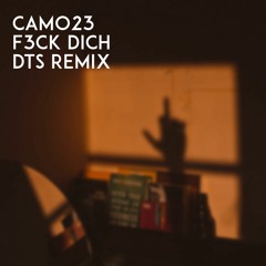 CAMO23 - F3CK DICH [TekkPulse Remix] PITCHED BECAUSE COPYRIGHT