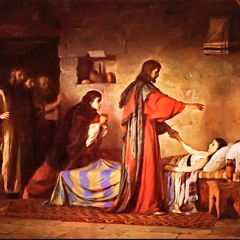 Why Bother Jesus? A Call to Trust in God