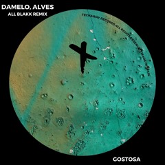 Damelo & Alves - Gostosa (ALL BLAKK Remix)_TEC246