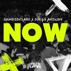 Soundsinsane & Diego Antoine - Now [OUT NOW]