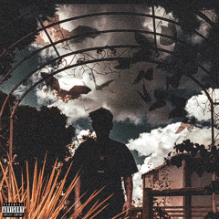 Color Blind (Butterflies & Demons 2) (prod. basinthehat)