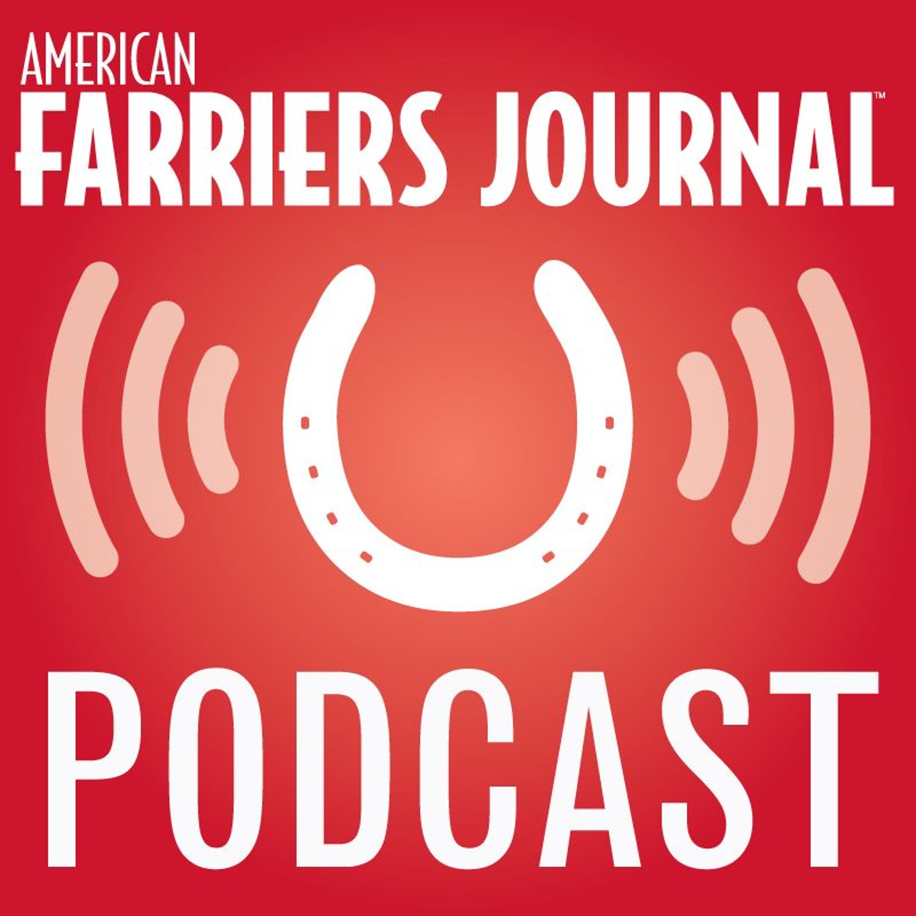 A Conversation with Brent Chidsey episode artwork