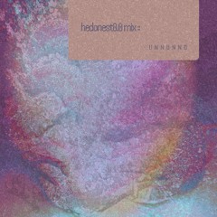 hedonest0.0mix :: sagittarius solar return // unnunnd