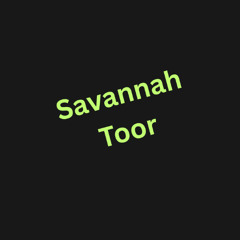 Wonderful And Fabulous ( techno remix )