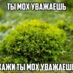 blatota - Twenty one pidors