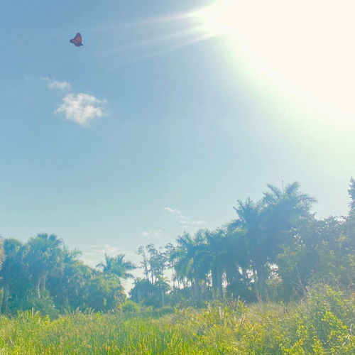 the best in me - Aviad