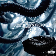 DJ Snake, Don Toliver – Something Wrong (Franky Nuts Remix)
