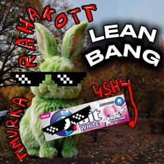 LEAN BANG ft. TIMURKARAHAKOTT