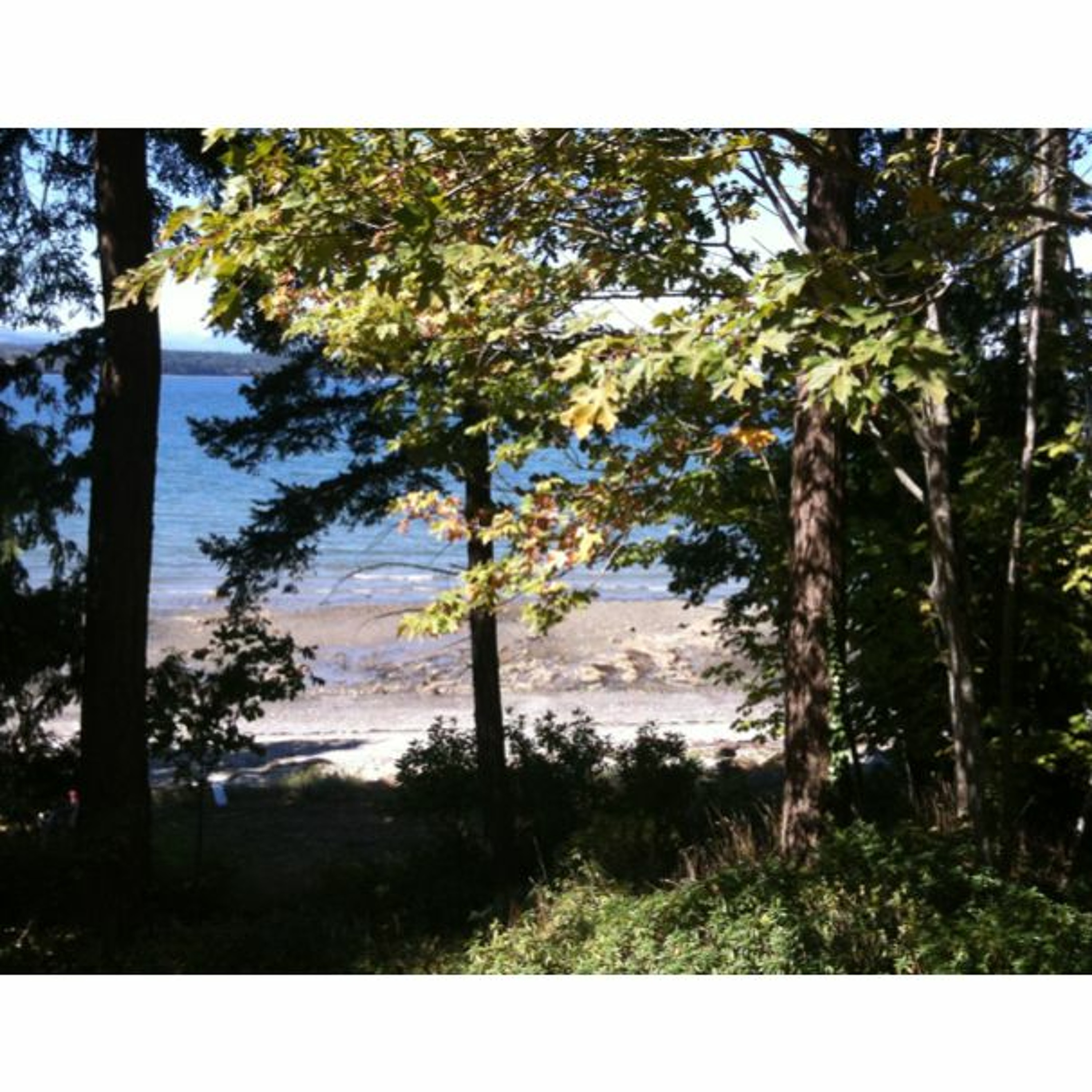 Virtual Forum on Water Quality and Quantity