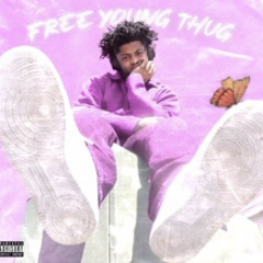 Ty2fly - FREE YOUNG THUG (SPED UP )