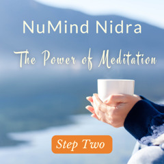 NuMind Nidra Step TWO  Yoga Nidra for  healing and self defeating behavoirs
