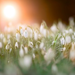 Endless Spring