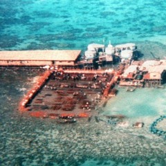 EP 18 The Ecology of the South China Sea - Interview with Professor John McManus