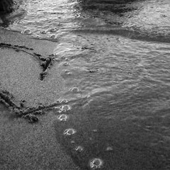 Empty Hours (Covered)