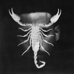 JHAYCO - Scorpio [LEØN Extended] (Descarga Libre)