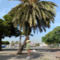 peavalu