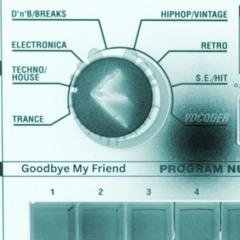 Goodbye My Friend (Effected Version)