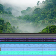 (Psychedelic-Trance-Minimal-Heavy-Hitech) Track No: 6240.