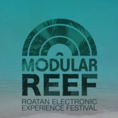 DiskoSchmitt @ Modular Reef (HN) 2025 Pt.2