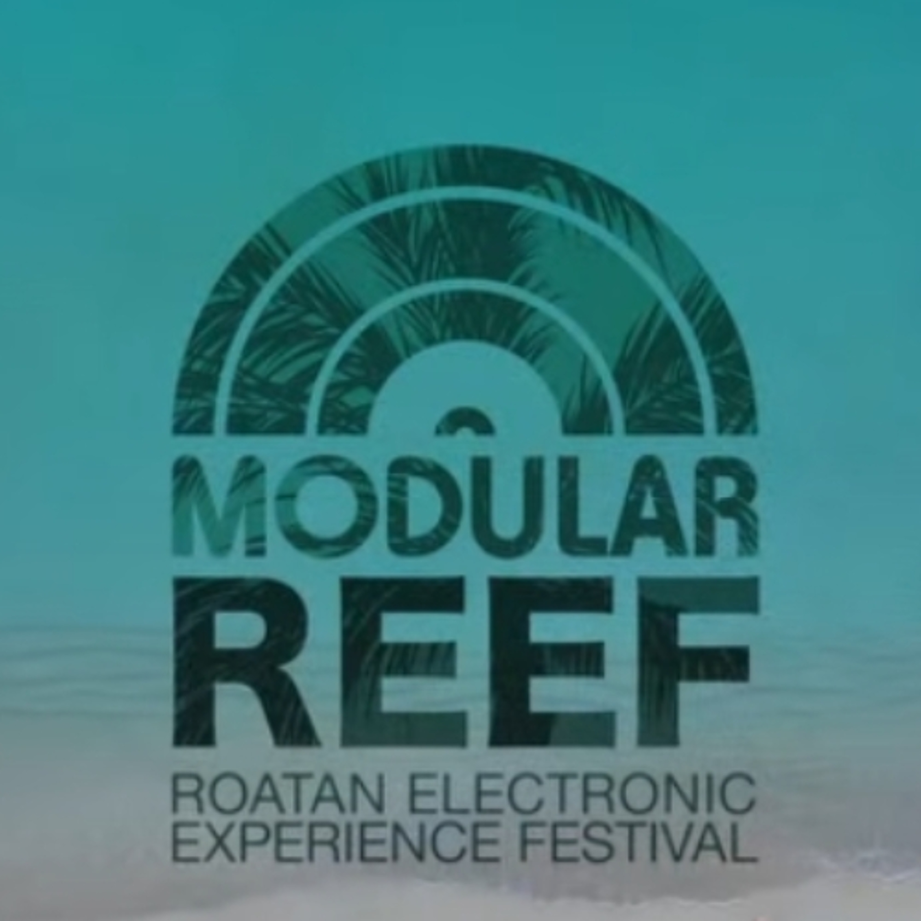 DiskoSchmitt @ Modular Reef (HN) 2025 Pt.2 episode artwork