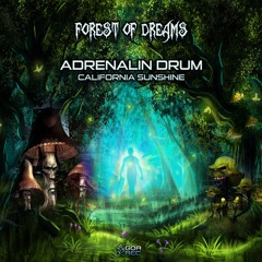 04 - Adrenalin Drum (California Sunshine) - Sun Flower